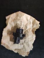 Лампочка з патроном 164620 PA6 GF30 P21W