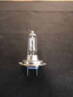 Лампочка Philips H7 12V 55W
